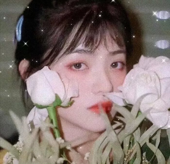 女主播风云
