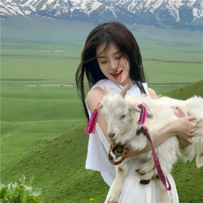 终结者：零